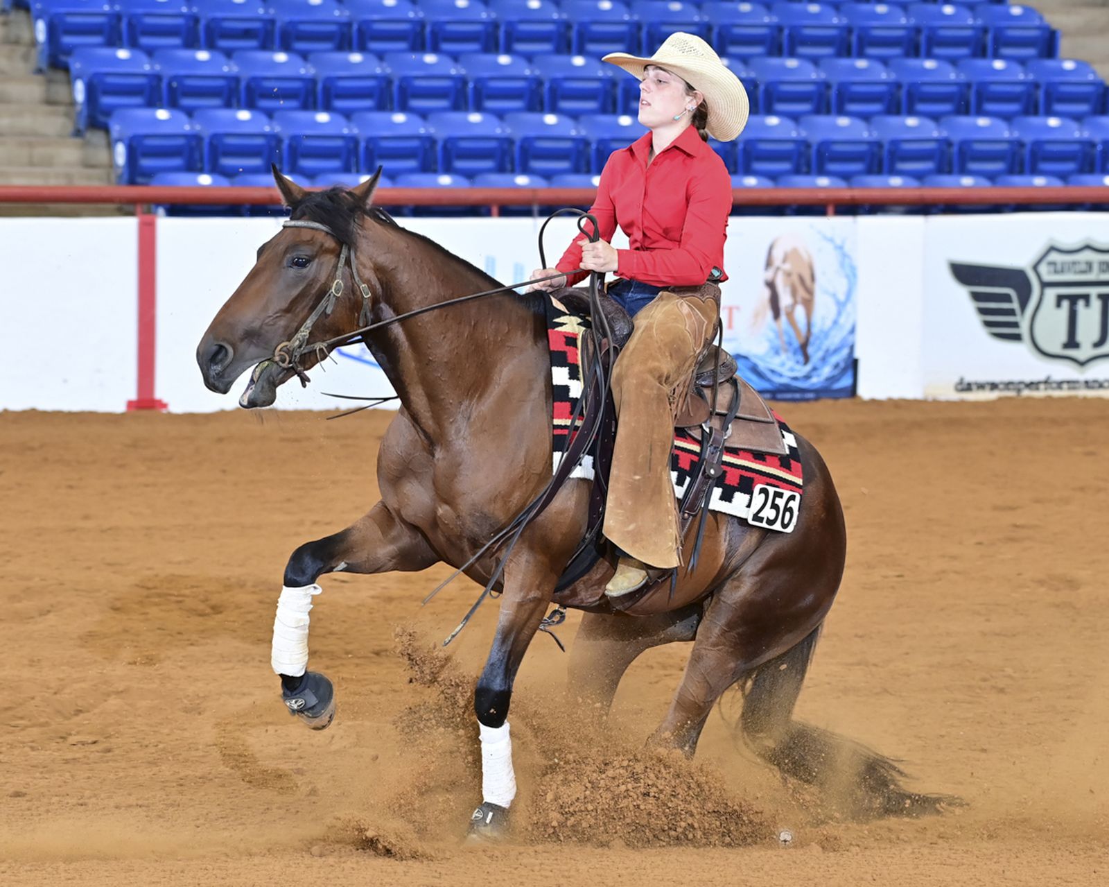 This Kittys Vintage turning around in the show pen, front leg reaching, rider in red